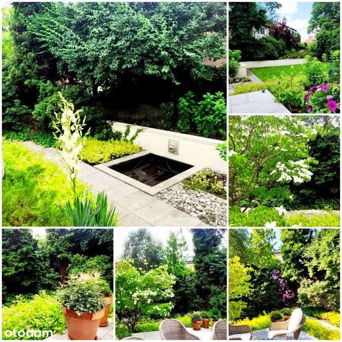 Dom, 220 m², Szczecin-19