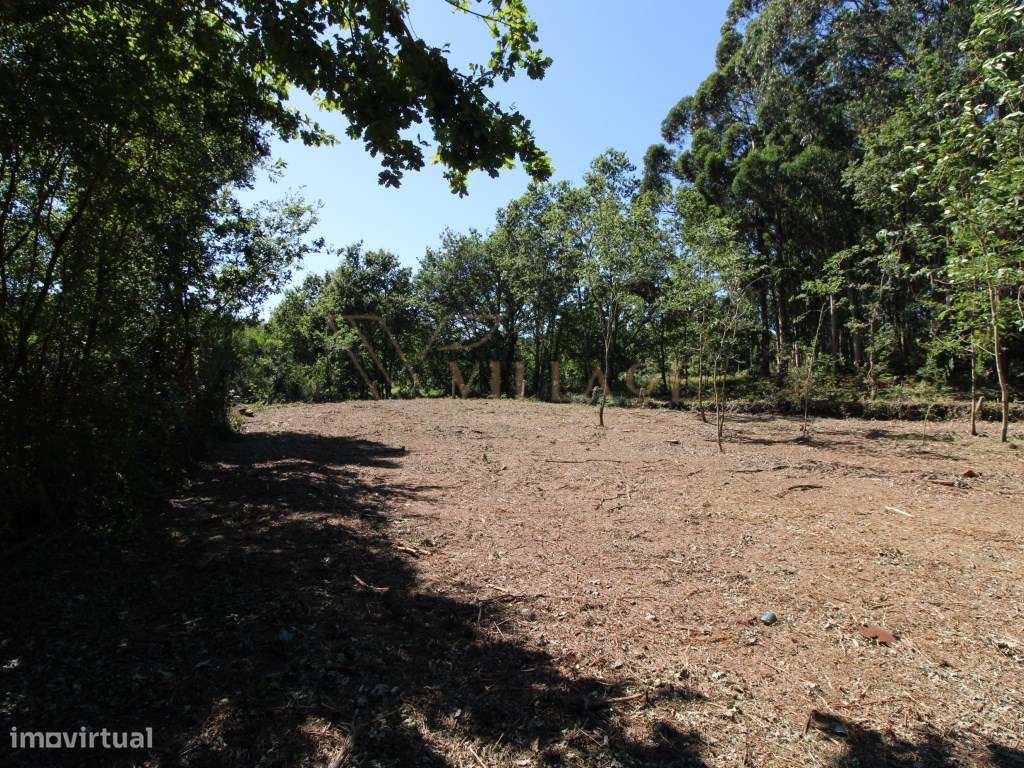 Terreno para construção - Grande imagem: 4/14