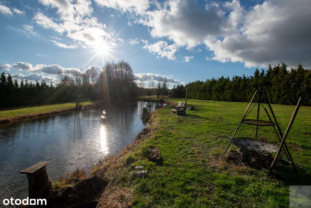 Dom z pełnego bala z zarybionym stawem-5