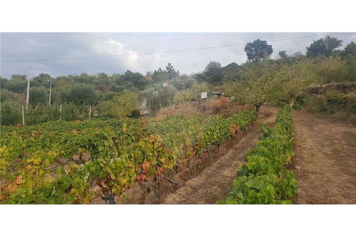 Terreno  para venda - Grande imagem: 4/5