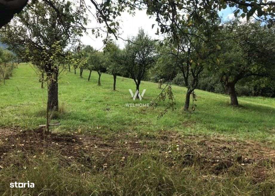 Teren extravilan - Sibiel, Sibiu - Imagine principală: 5/9