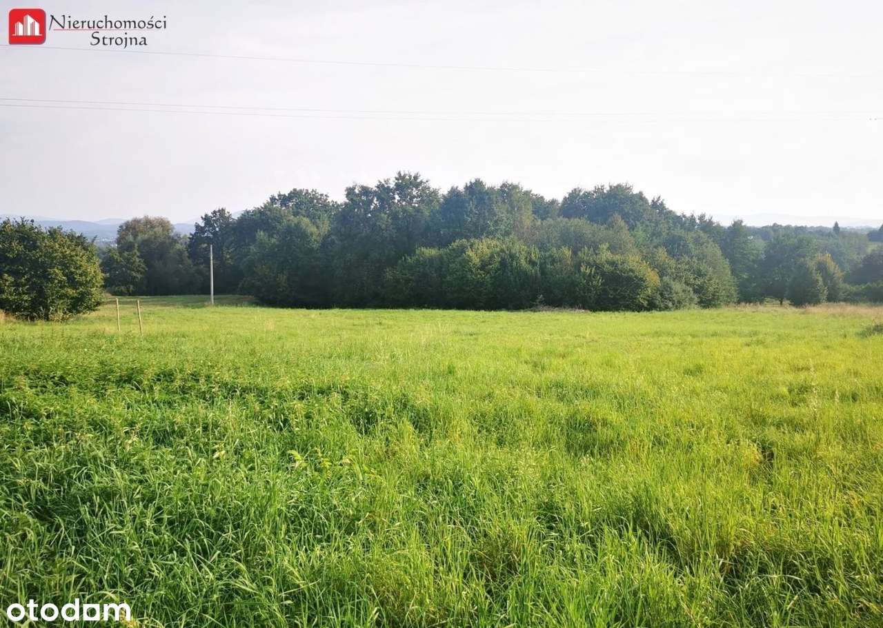 Atrakcyjna działka budowlano-rolna o pow. 59a - Pełny obrazek: 4/5