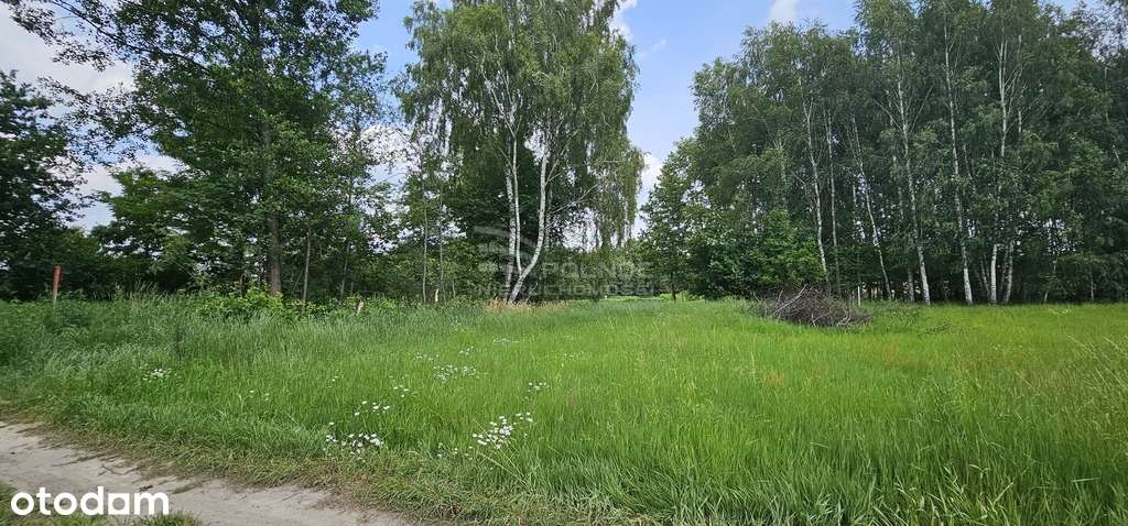 Działki w sercu pojezierza na sprzedaż - Pełny obrazek: 5/7