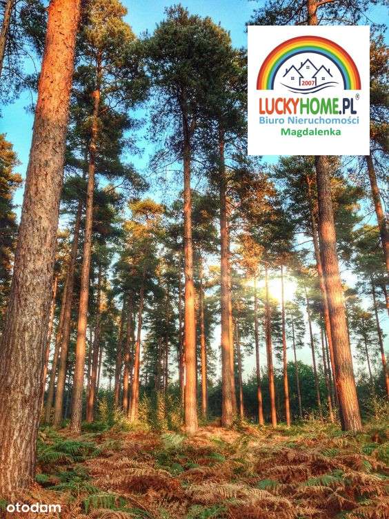 Piękna  w Leśnej Magdalence, media, 15km od W-wy-0