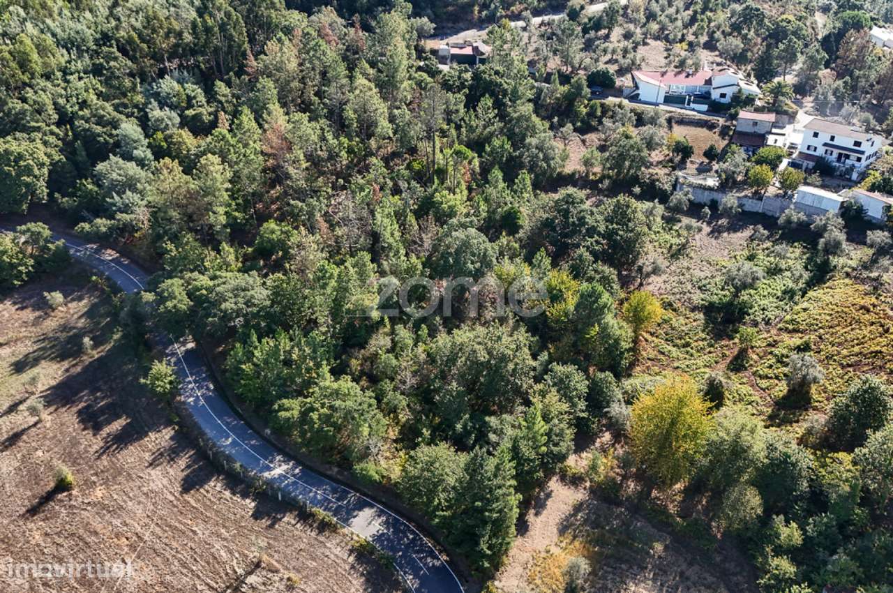 Terreno em Folques, Arganil - Grande imagem: 5/17