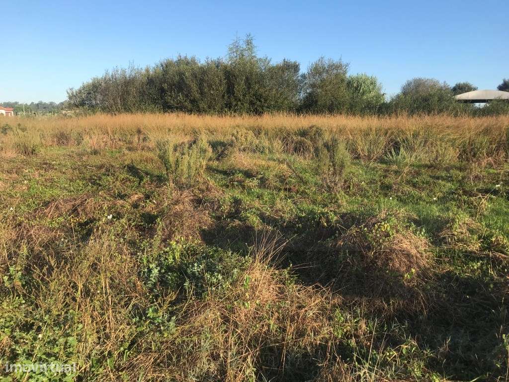 Terreno para construção moradia isolada - Estarreja - Grande imagem: 5/18