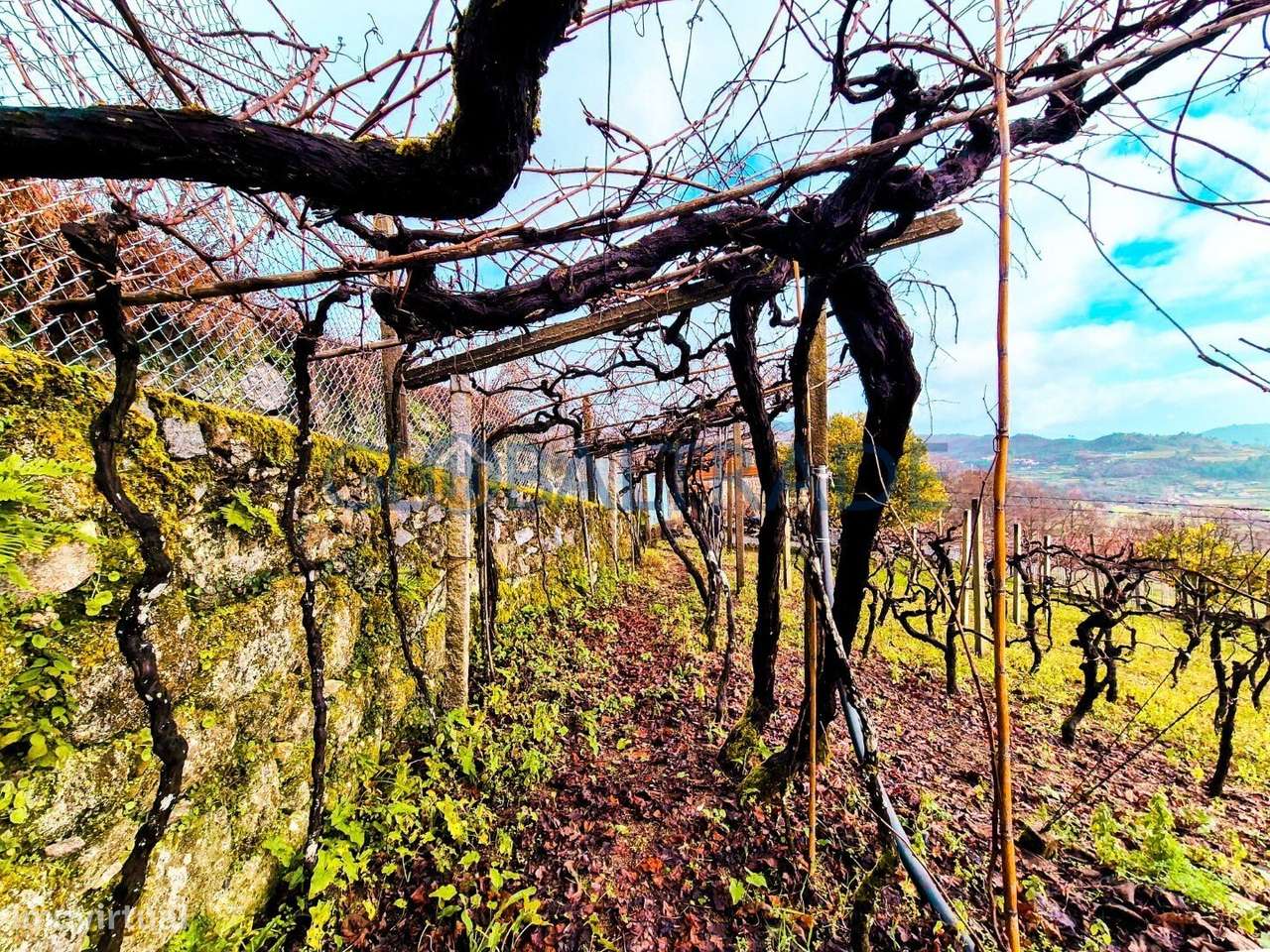 Quinta com 5250 m² & Moradia T1 em Pedra – Baião-31