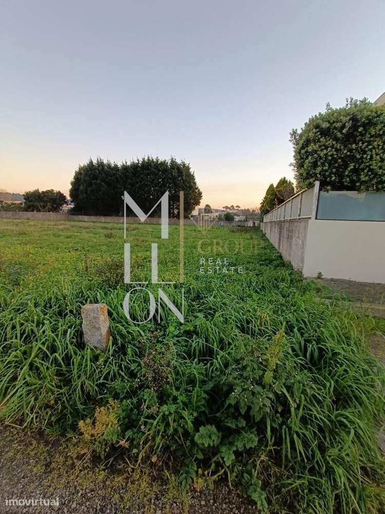 Terreno para Construção – 5.000 m2 | Frente de 100 m | Praia da Madale - Grande imagem: 4/7