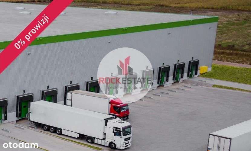 Magazyn 4032 m2 z biurem od zaraz - 0% prowizji - Pełny obrazek: 4/5