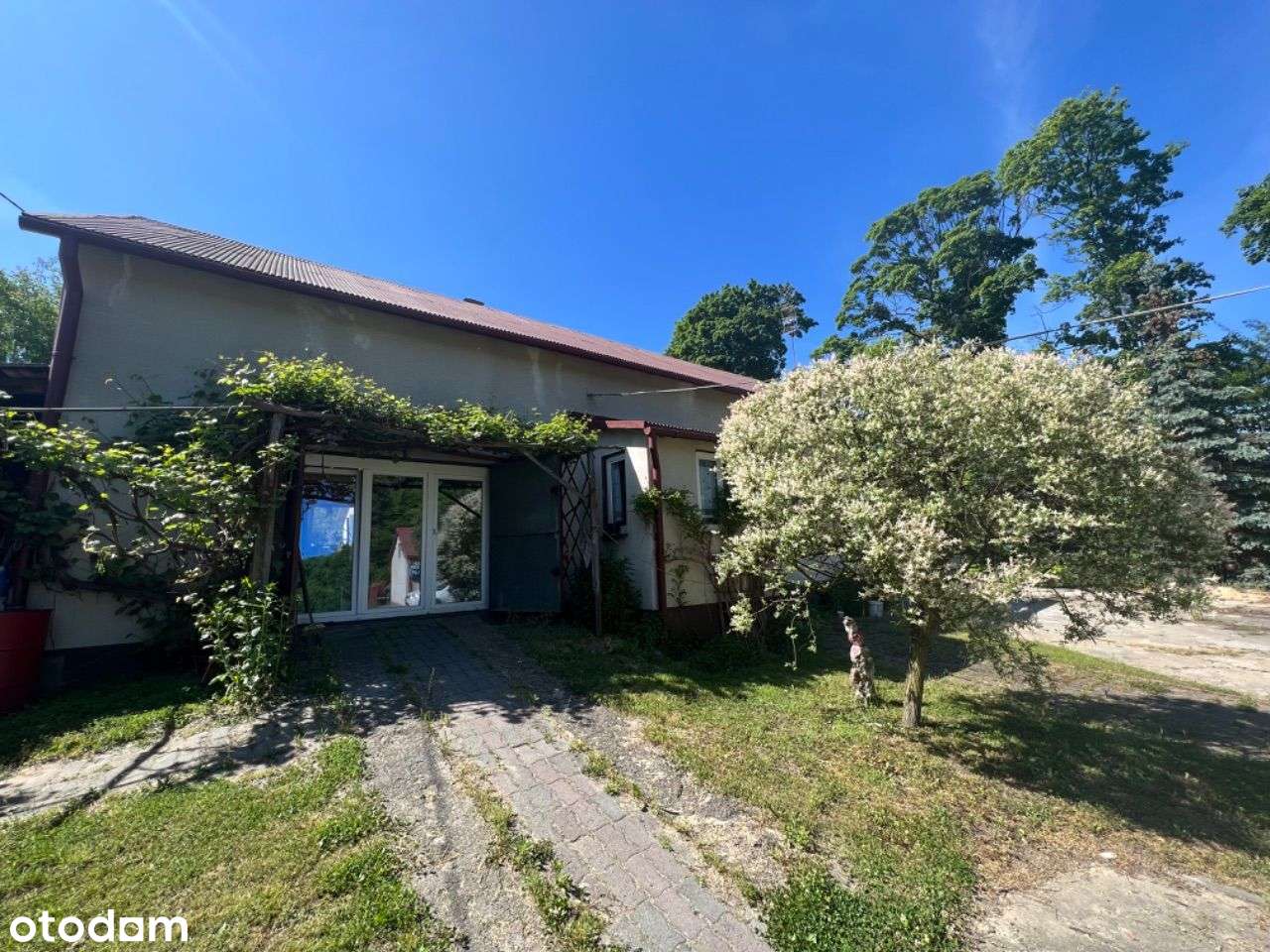 Okazja, Niższa cena, Wyjątkowa lokalizacja Jura - Pełny obrazek: 2/18