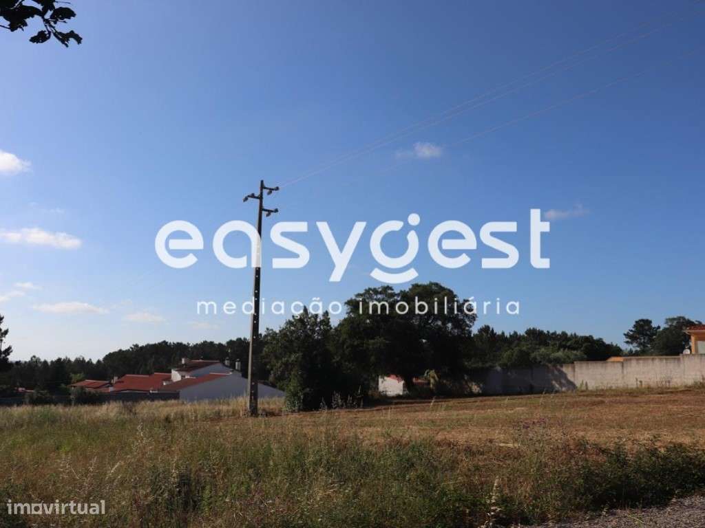 Terreno para Construção com 4 000 m2/ Leiria - Grande imagem: 4/6