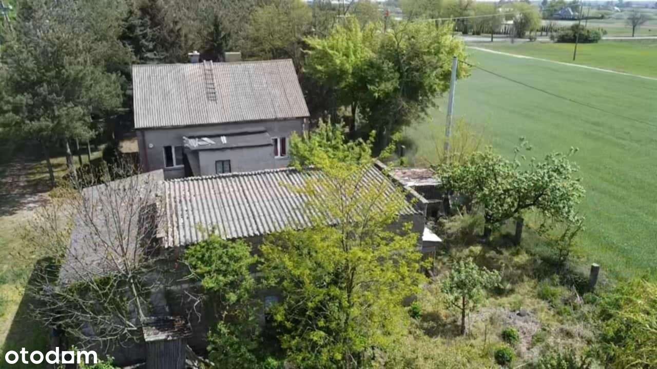 Siedlisko z potencjałem – Piotrków Kujawski, możliwość podziału-1