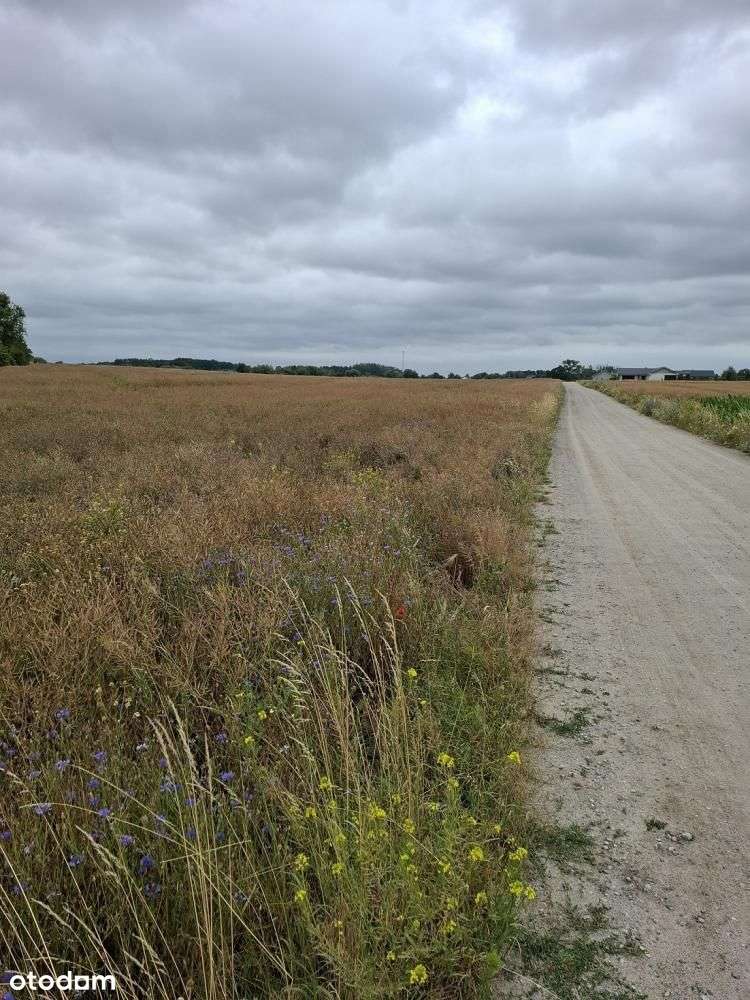 Działka, 1 261 m², Grzebienisko - Pełny obrazek: 5/6