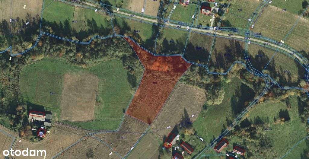 64ar Wola Lubecka Gmina Riglice Powiat Tarnowski - Pełny obrazek: 5/5