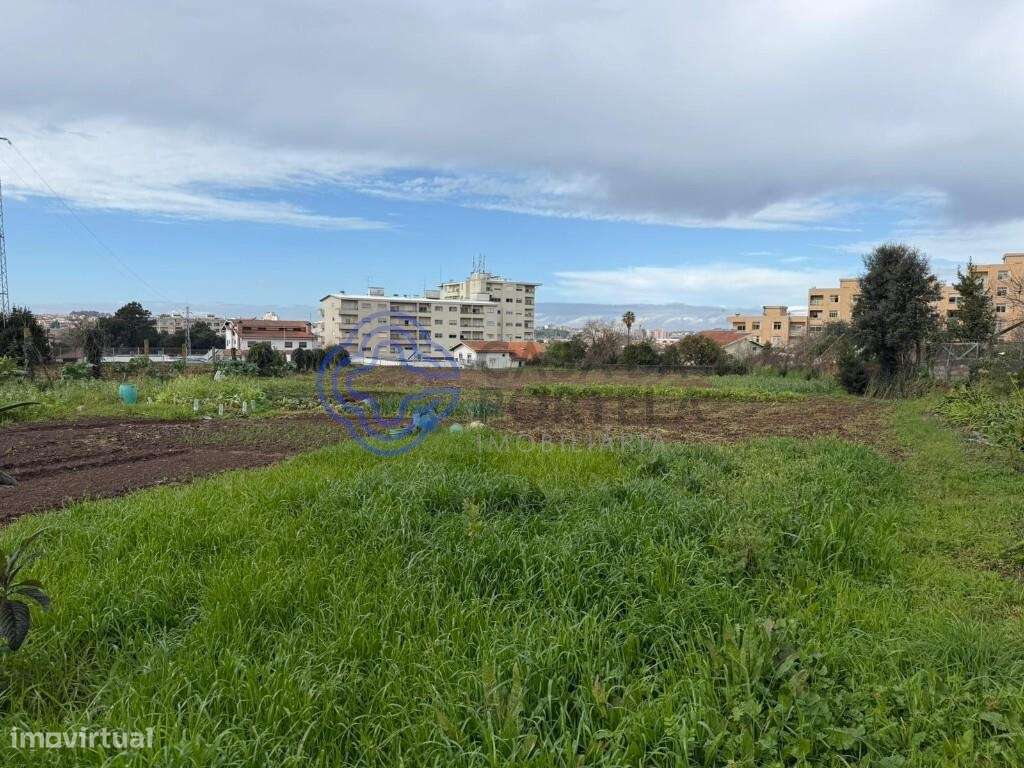 Quinta em Fânzeres, Gondomar-15
