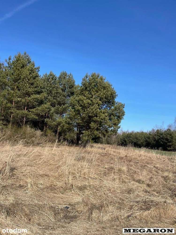 Działka, 16 219 m², Prusicko-6