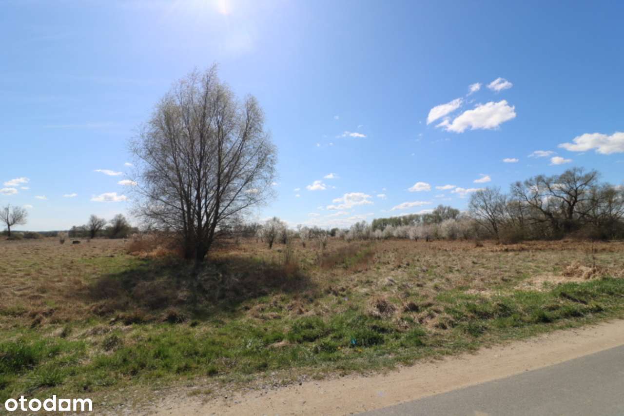 Działki w Słubicach – ul. Jastrzębia - Pełny obrazek: 4/20