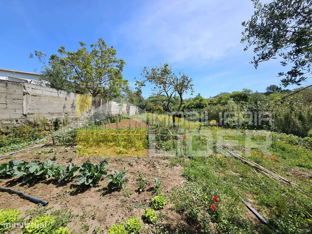 Terreno Rústico com 1.000 m2 na Malveira-Mafra.-20
