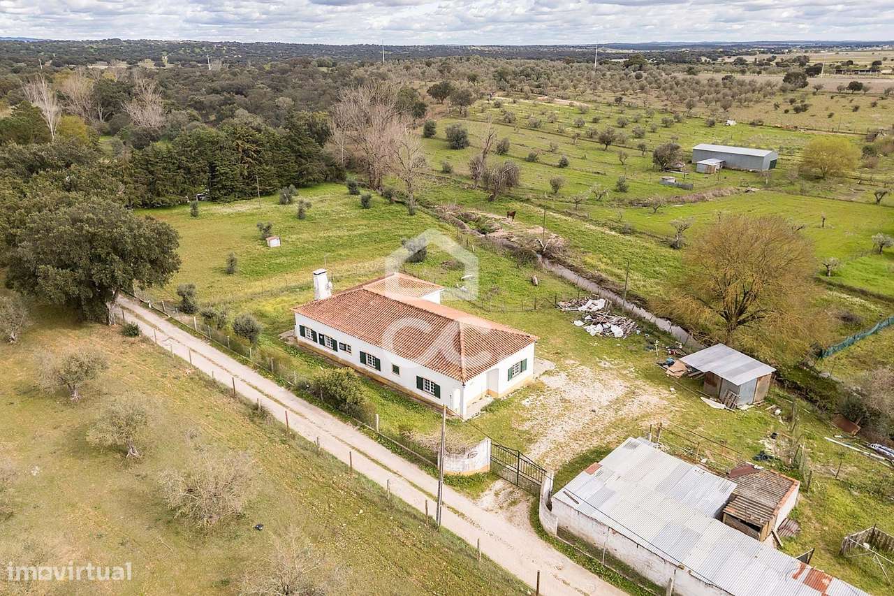 Quinta de 0,7 ha com Moradia T4 e Anexos | Azaruja, Évora - Grande imagem: 2/60