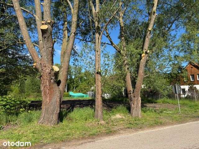 Urokliwa działka pod dom lub domki wakacyjne - Pełny obrazek: 5/12