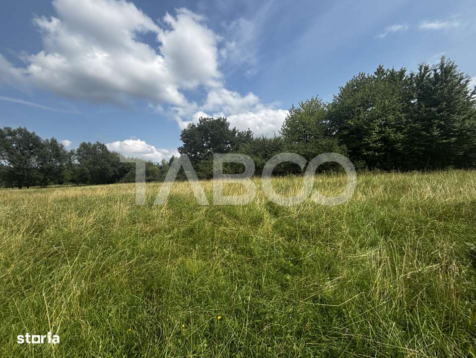 OPORTUNITATE INVESTITIE Teren de vanzare Cisnadie 3100 mp intravilan - Imagine principală: 4/5