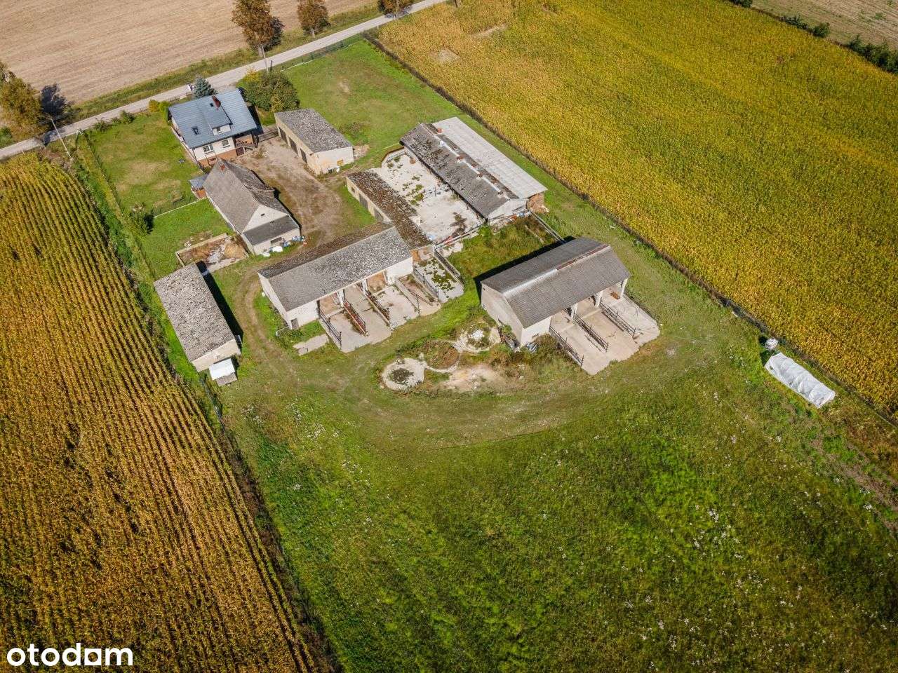 siedlisko wiejskie-15