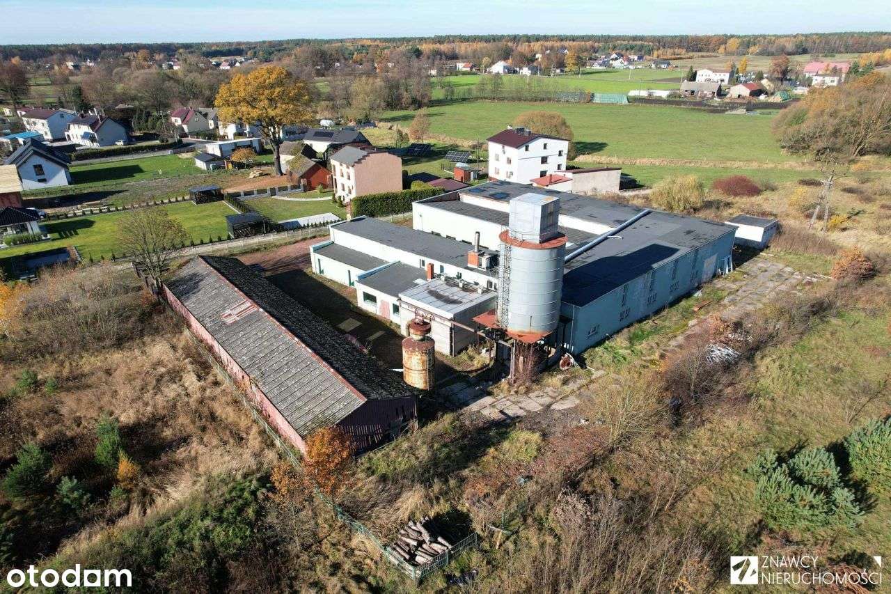 Działka z zabudowaniami produkcyjno-mieszkalnymi - Pełny obrazek: 4/20