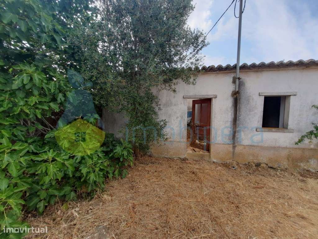 Conjunto de 3 moradias em ruina na aldeia do Pico Alto para reconst... - Grande imagem: 5/14