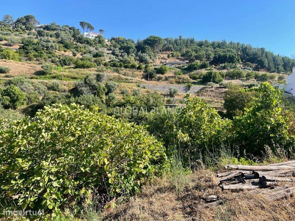 Moradia Térrea - Grande imagem: 5/7