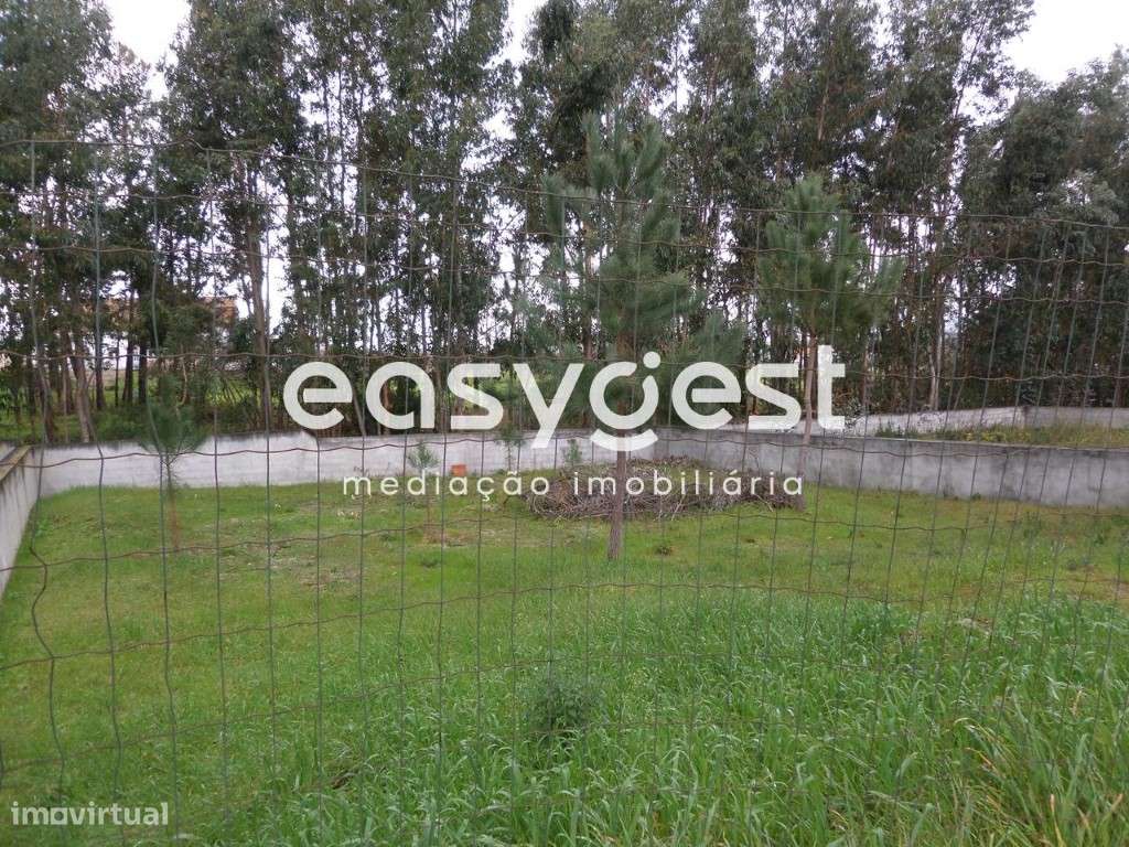 Lote para Moradia Unifamilia - Grande imagem: 2/4