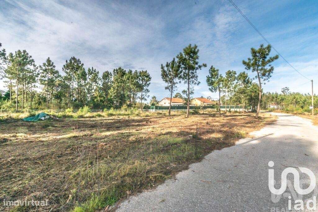 Terreno em Monte Redondo e Carreira - Grande imagem: 3/6