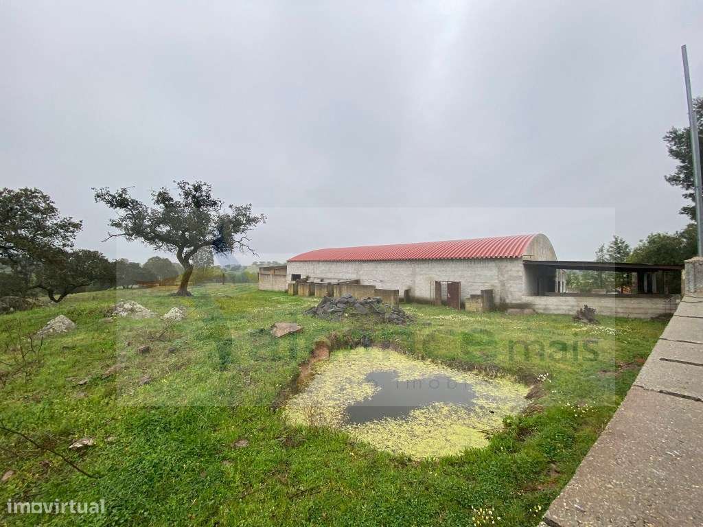 Quintinha de charme com 1,7 ha, capela privada e abundância de água...-32