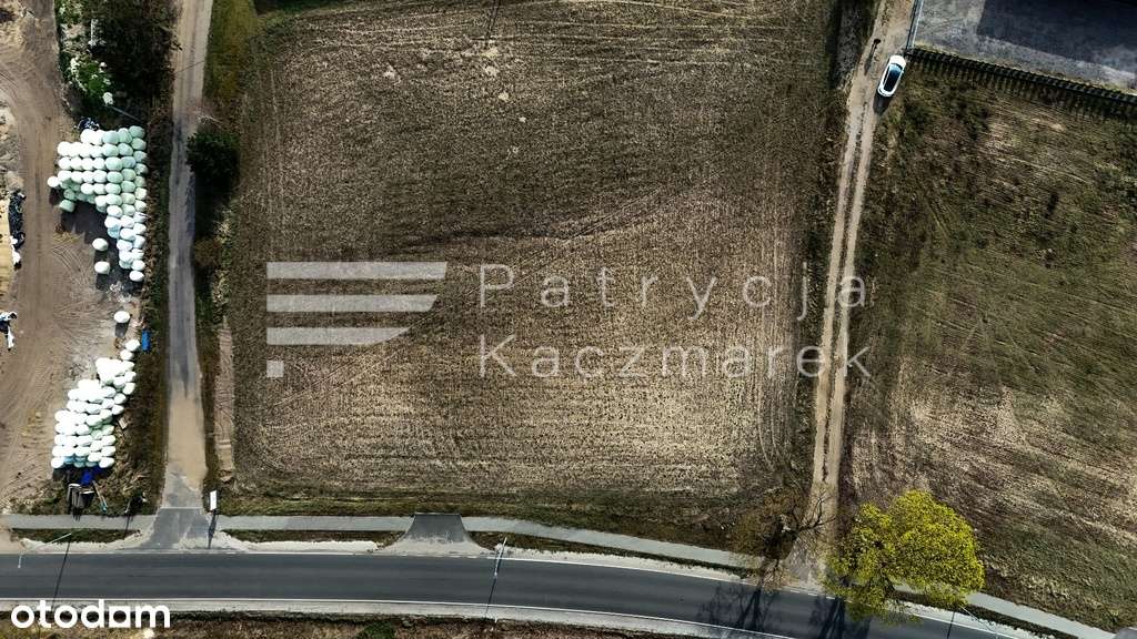 Duża działka przy Puszczy Noteckiej - Pełny obrazek: 4/6