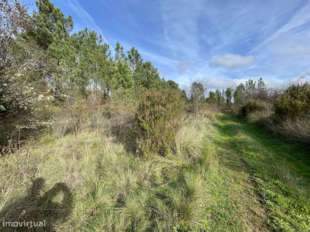 Terreno Rústico  Venda em Sarzedas,Castelo Branco - Grande imagem: 4/8