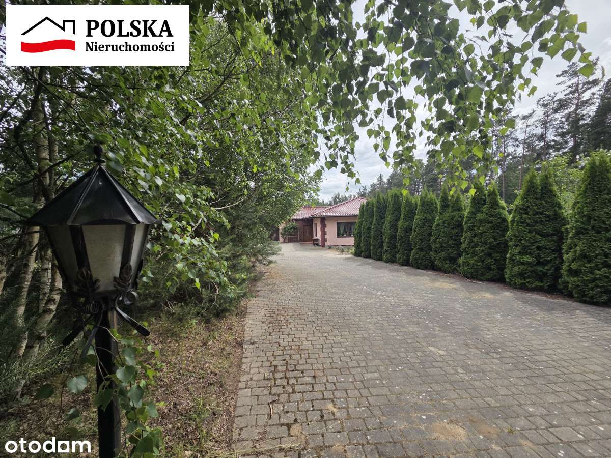 Dom 230 m2 z działką 7473 m2 w Dąbrówce