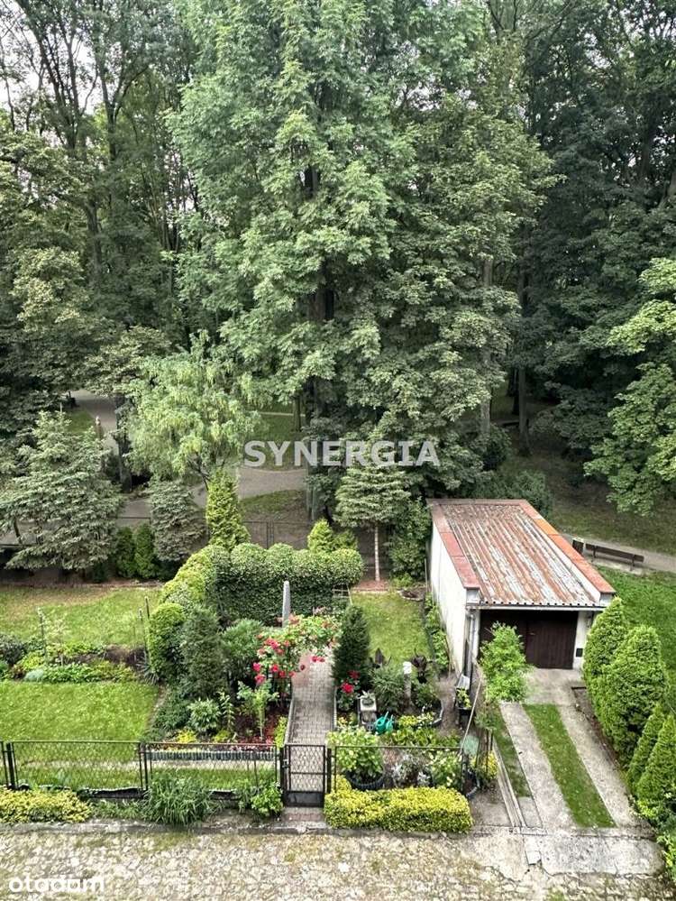 Klimatyczne mieszkanie przy parku-1
