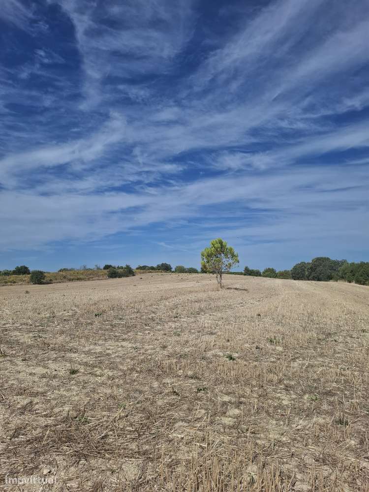 Terreno Rústico Cassanho - Grande imagem: 3/4