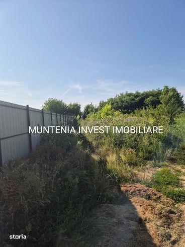 Teren 2779 mp. intravilan Ștefănești, str. Mironescu-3