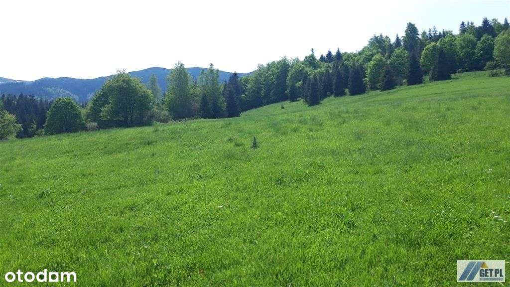 działka u stóp Babiej Góry. - Pełny obrazek: 5/5