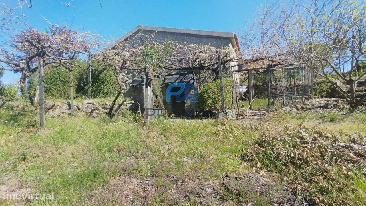 Quinta com 3 artigos urbanos, piscina e 9,4 ha em Resende-35