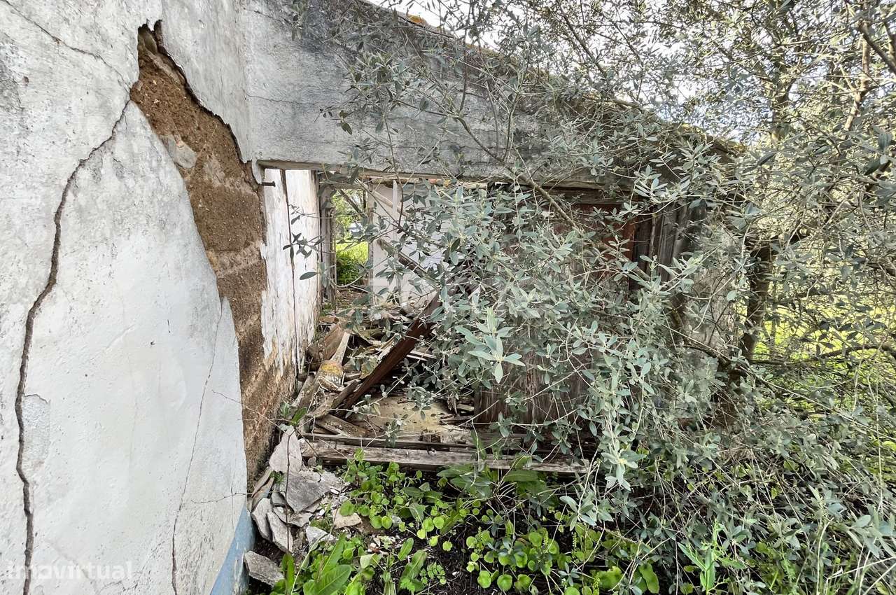 Quinta em Ferreira do Alentejo - Gasparões - Grande imagem: 4/18