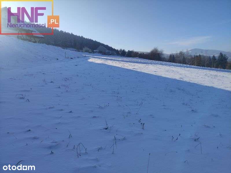 Działka budowlana 10ar w Bilsku - Pełny obrazek: 5/12