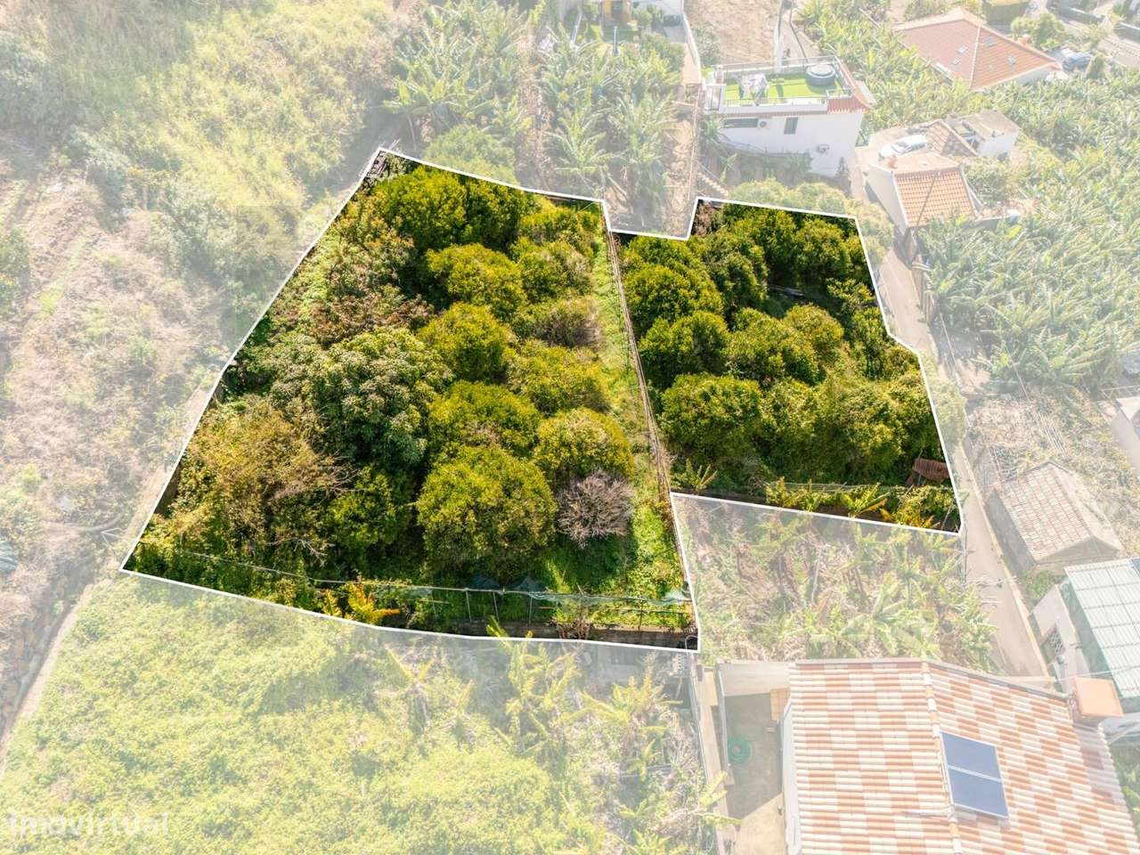 Terreno para construção - com 790m2 na Ponta do Sol - Grande imagem: 4/19
