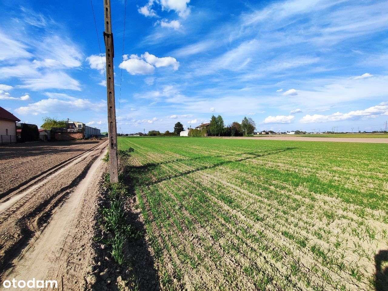 Usługowa działka pod Warszawą-1