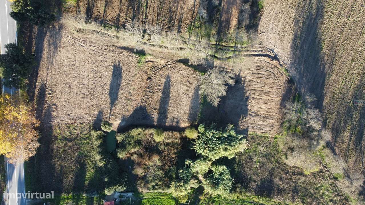 Terreno Rústico - Orjais - Covilhã - Grande imagem: 5/19