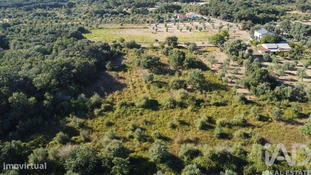 Terreno em Areias e Pias de 1850,00 m2 - Grande imagem: 5/13