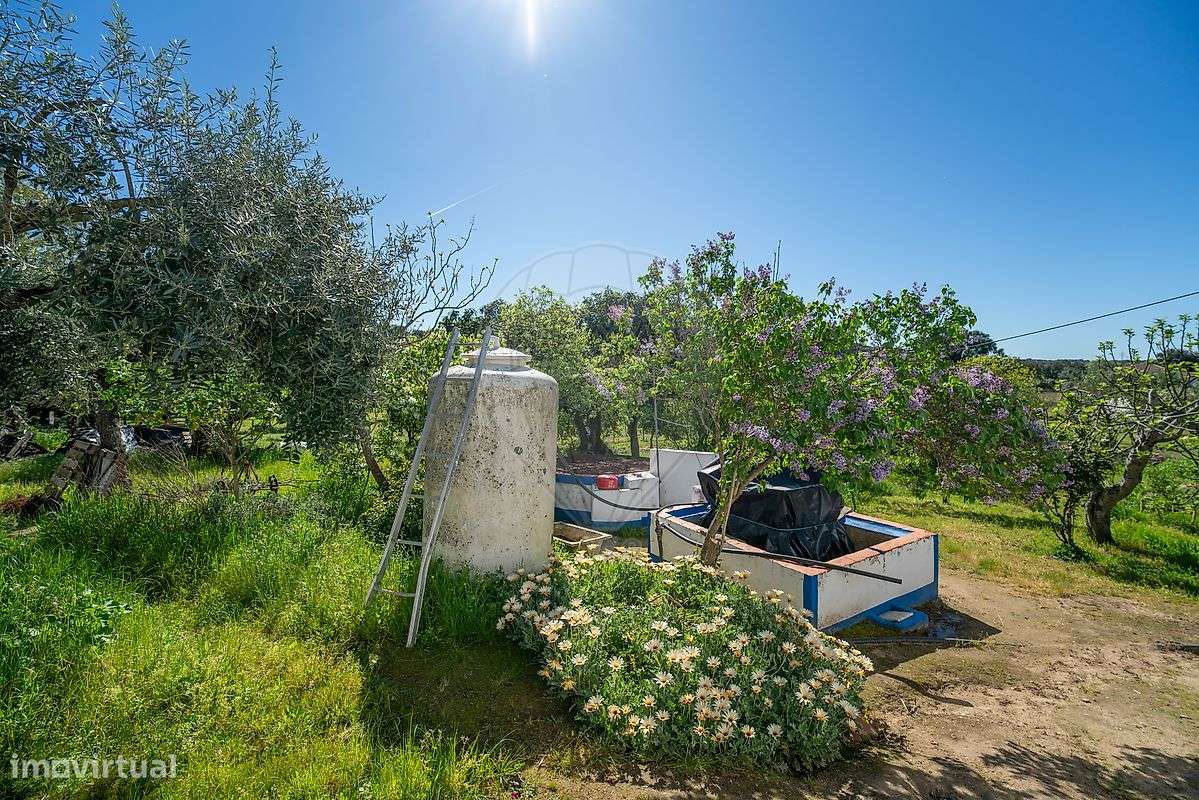 Quinta T6 para venda-16