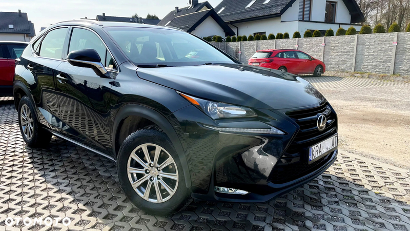 Lexus NX - 21