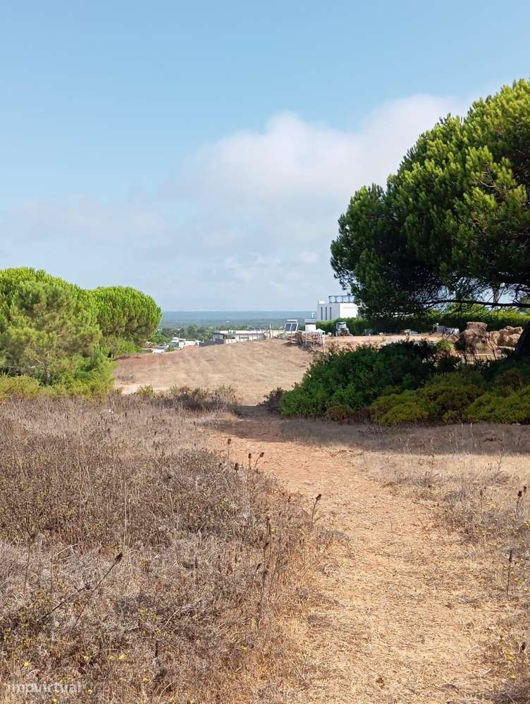 Terreno com área de 10.000m2 com projeto aprovado perto da Aldeia do M-10