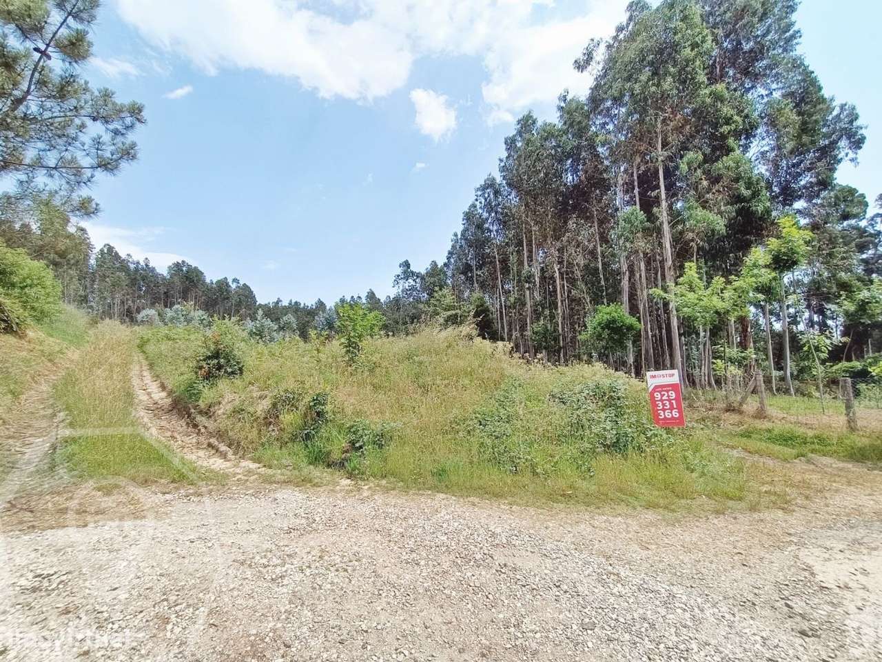 Terreno em Macinhata do Vouga - Vistas Panorâmicas! - Grande imagem: 4/4